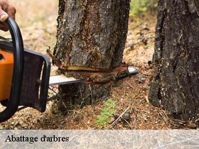 Abattage d'arbres  badens-11800 JF Elagage