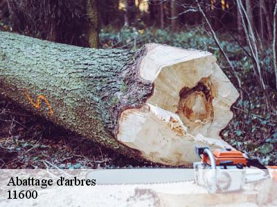 Abattage d'arbres  bagnoles-11600 JF Elagage