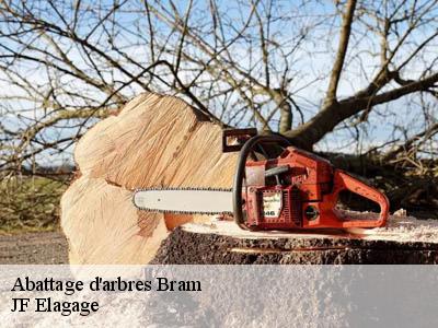 Abattage d'arbres  bram-11150 JF Elagage