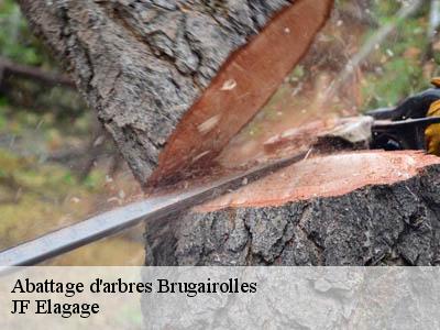 Abattage d'arbres  brugairolles-11300 JF Elagage