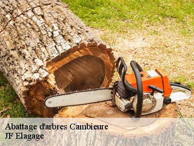 Abattage d'arbres  cambieure-11240 JF Elagage