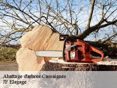 Abattage d'arbres  cassaignes-11190 JF Elagage