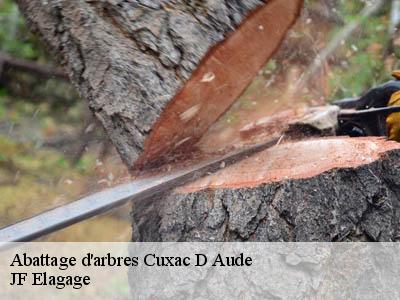 Abattage d'arbres cuxac-d-aude-11590 DEBORD Elagage 11