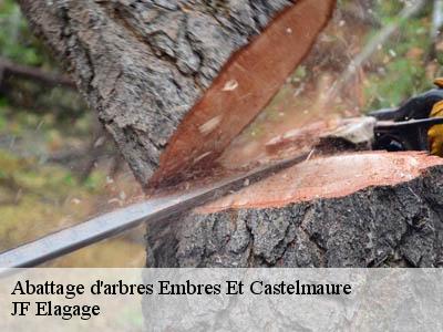 Abattage d'arbres  embres-et-castelmaure-11360 JF Elagage