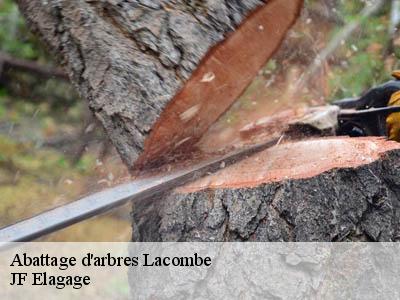 Abattage d'arbres  lacombe-11310 JF Elagage