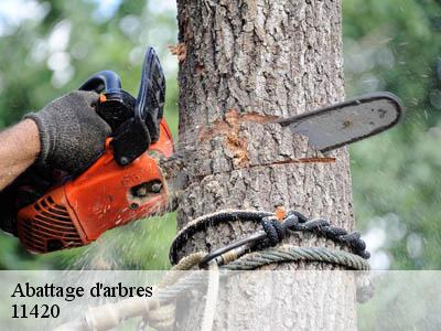 Abattage d'arbres  lafage-11420 JF Elagage