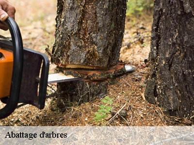 Abattage d'arbres  lafage-11420 JF Elagage