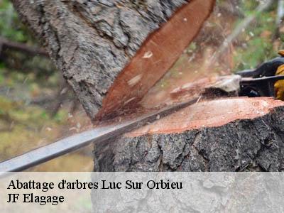 Abattage d'arbres  luc-sur-orbieu-11200 JF Elagage