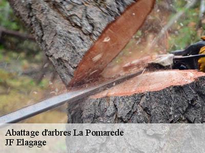 Abattage d'arbres  la-pomarede-11400 JF Elagage