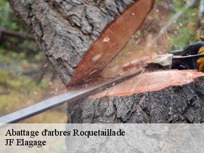 Abattage d'arbres  roquetaillade-11300 JF Elagage