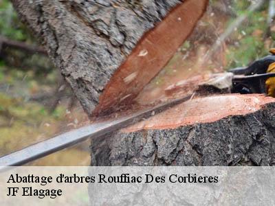 Abattage d'arbres  rouffiac-des-corbieres-11350 JF Elagage