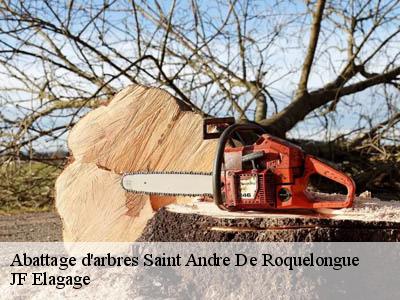 Abattage d'arbres  saint-andre-de-roquelongue-11200 JF Elagage