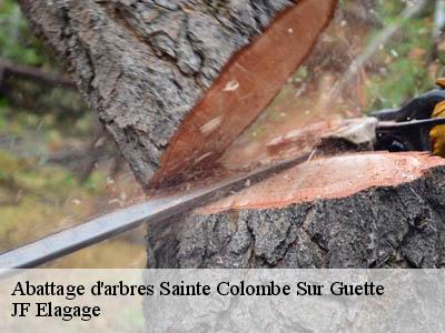 Abattage d'arbres  sainte-colombe-sur-guette-11140 JF Elagage