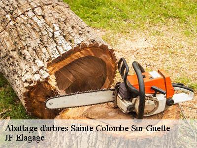 Abattage d'arbres  sainte-colombe-sur-guette-11140 JF Elagage