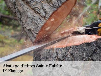 Abattage d'arbres  sainte-eulalie-11170 JF Elagage
