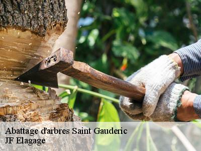 Abattage d'arbres  saint-gauderic-11270 JF Elagage
