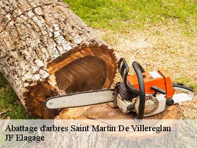 Abattage d'arbres  saint-martin-de-villereglan-11300 JF Elagage