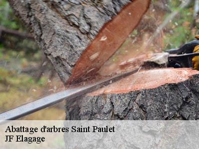 Abattage d'arbres  saint-paulet-11320 JF Elagage