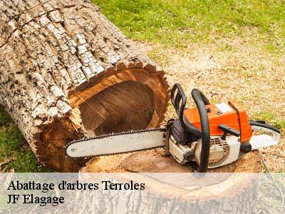 Abattage d'arbres  terroles-11580 JF Elagage