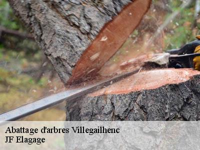 Abattage d'arbres  villegailhenc-11600 JF Elagage