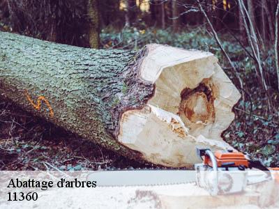 Abattage d'arbres  villeseque-des-corbieres-11360 Jardin Paysage