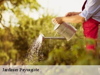 Jardinier Paysagiste  airoux-11320 JF Elagage