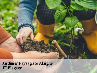 Jardinier Paysagiste  alaigne-11240 JF Elagage