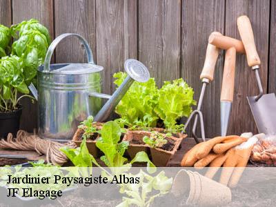 Jardinier Paysagiste  albas-11360 JF Elagage