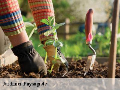 Jardinier Paysagiste  armissan-11110 JF Elagage