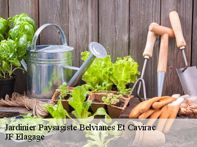 Jardinier Paysagiste  belvianes-et-cavirac-11500 JF Elagage