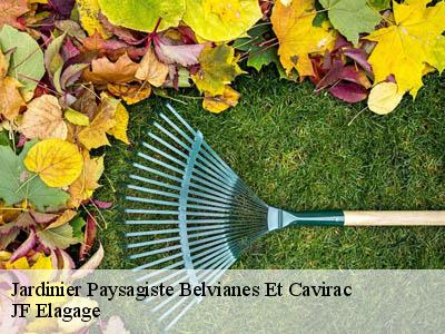 Jardinier Paysagiste  belvianes-et-cavirac-11500 JF Elagage