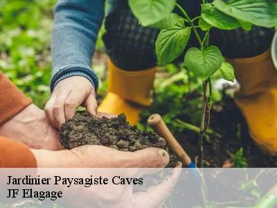 Jardinier Paysagiste  caves-11510 JF Elagage