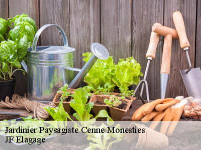 Jardinier Paysagiste  cenne-monesties-11170 JF Elagage