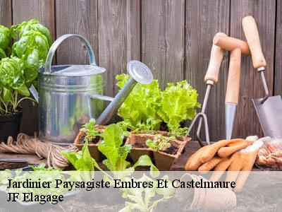 Jardinier Paysagiste  embres-et-castelmaure-11360 JF Elagage