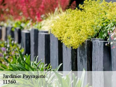 Jardinier Paysagiste  fleury-11560 JF Elagage