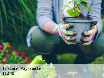 Jardinier Paysagiste  lignairolles-11240 JF Elagage