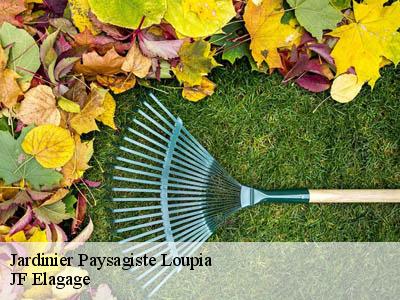 Jardinier Paysagiste  loupia-11300 JF Elagage
