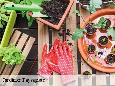 Jardinier Paysagiste  magrie-11300 JF Elagage