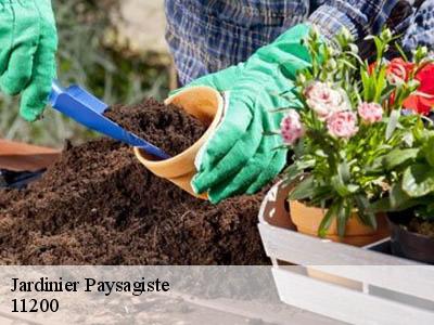 Jardinier Paysagiste  paraza-11200 JF Elagage