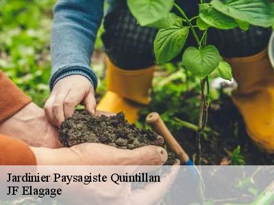 Jardinier Paysagiste  quintillan-11360 JF Elagage