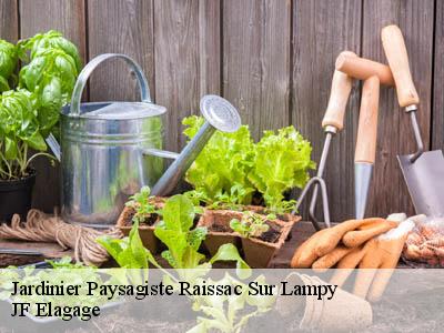 Jardinier Paysagiste  raissac-sur-lampy-11170 JF Elagage