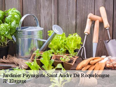 Jardinier Paysagiste  saint-andre-de-roquelongue-11200 JF Elagage