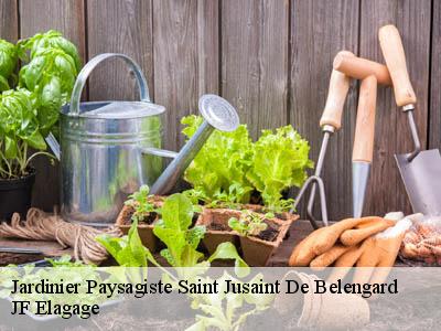 Jardinier Paysagiste  saint-jusaint-de-belengard-11240 JF Elagage
