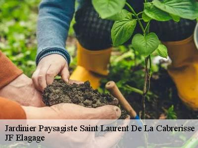 Jardinier Paysagiste  saint-laurent-de-la-cabrerisse-11220 JF Elagage