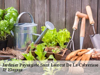 Jardinier Paysagiste  saint-laurent-de-la-cabrerisse-11220 JF Elagage