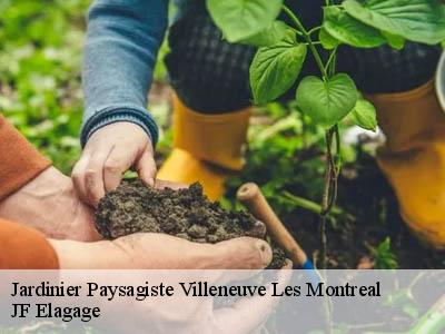 Jardinier Paysagiste  villeneuve-les-montreal-11290 JF Elagage